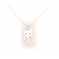 Colier argint pandantiv BUFNITA CA011